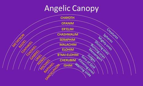 Angelic Canopy